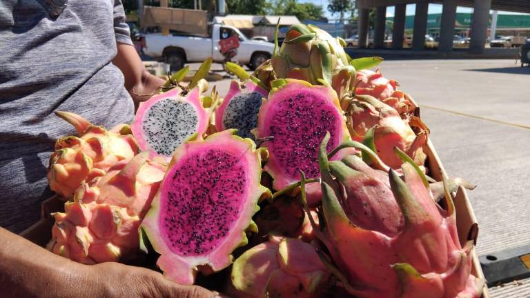 Omar Rojas ofrece pitahaya en su puesto en Mazatlán, donde la fruta es solicitada por su sabor y propiedades saludables.