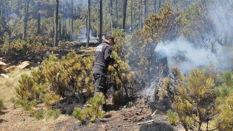 La Secretaría de Seguridad de Edomex desplegó acciones para sofocar un incendio forestal en las inmediaciones del Nevado de Toluca.