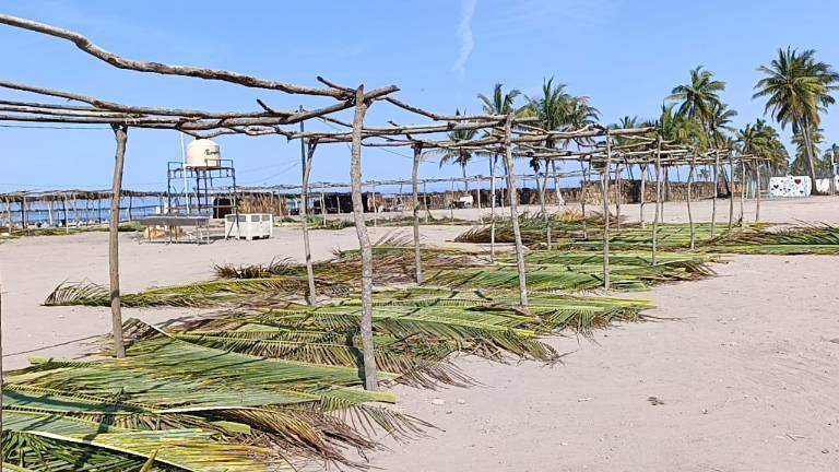 Son en total 810 enramadas, incluyendo las comerciales, las que se colocarán en la playa.