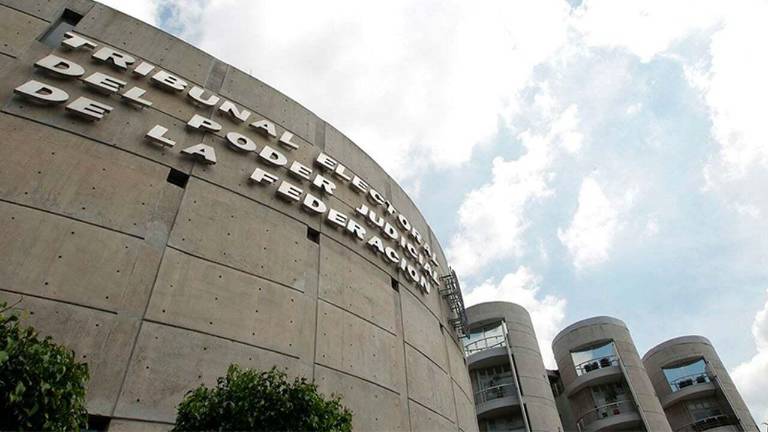 En una sesión pública, los magistrados del TEPJF aprobaron vincular a la Secretaría de Hacienda y Crédito Público (SHCP), para que tras realizar los ajustes presupuestales, el Consejo General del INE justifique el déficit de recursos para organizar la consulta de revocación de mandato.