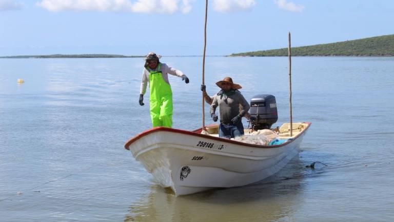 Urge Oceana a incluir a pescadores en creación de políticas para regular la pesca