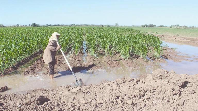 Para el rescate del agua se destinaron 7 millones de pesos