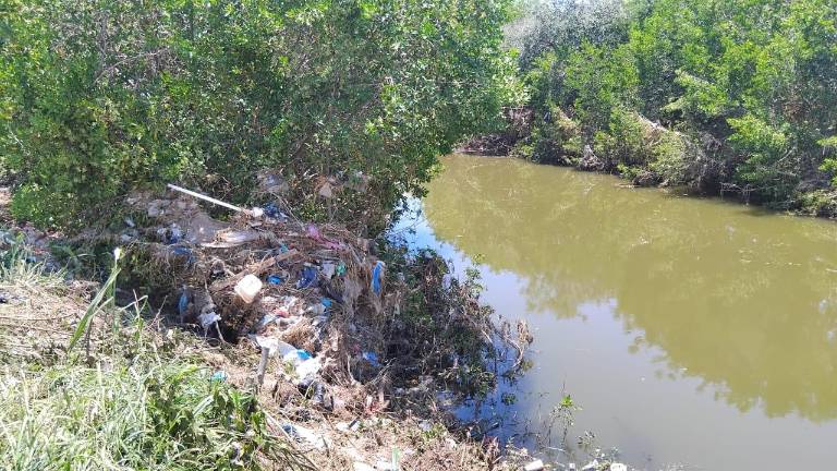 Ramas cortadas y desechos se acumulan a la orilla del Arroyo Jabalines tras la jornada de limpieza realizada el sábado.