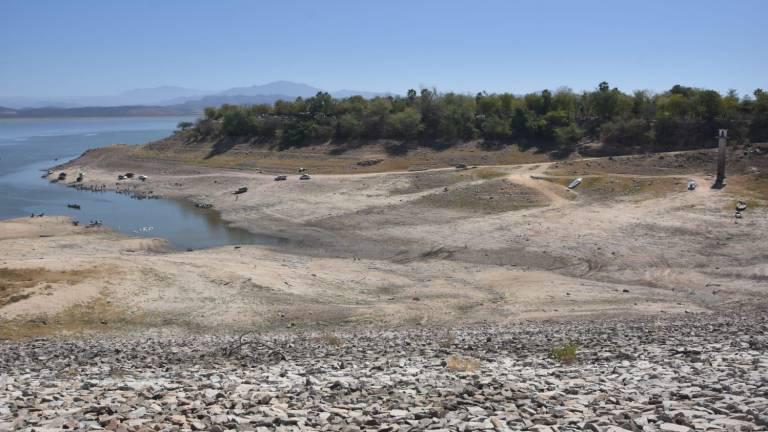 No hay claridad en el manejo de sequía en Sinaloa, dice sector empresarial