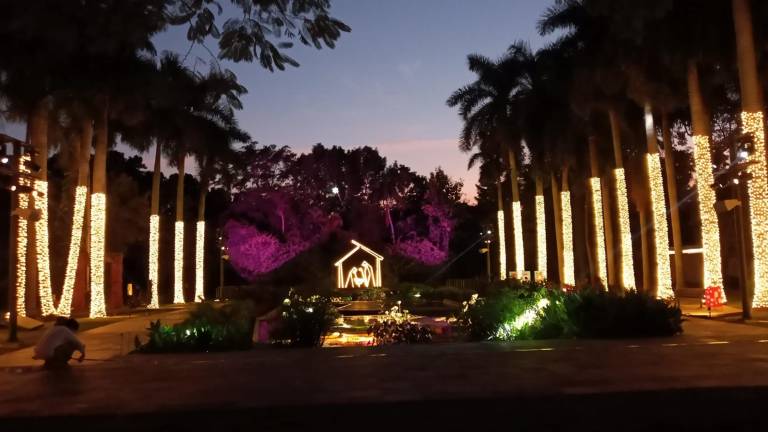 La Navidad al Jardín Botánico regresa el próximo 1 de diciembre.