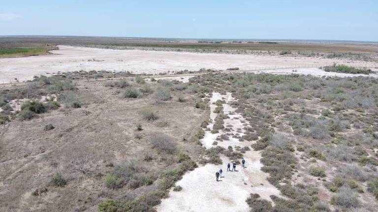 La Bahía de Santa María La Reforma, en Angostura, es uno de los lugares de más diversidad natural de México.