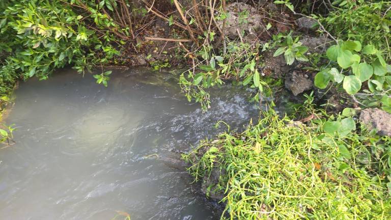 Fugas detectadas en el acueducto Baluarte-Teacapán están afectando el suministro de agua en las comunidades del valle de Escuinapa.