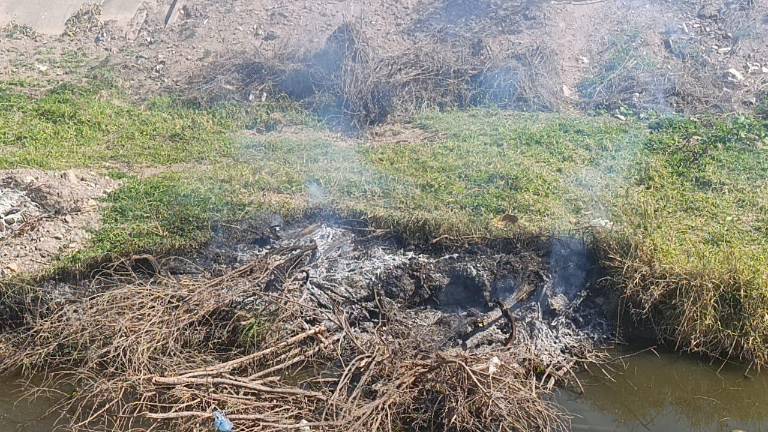 Diógenes Fragoso Aguilar indicó que se está revisando la situación de basura de este cauce del arroyo y empezaran a recogerse.