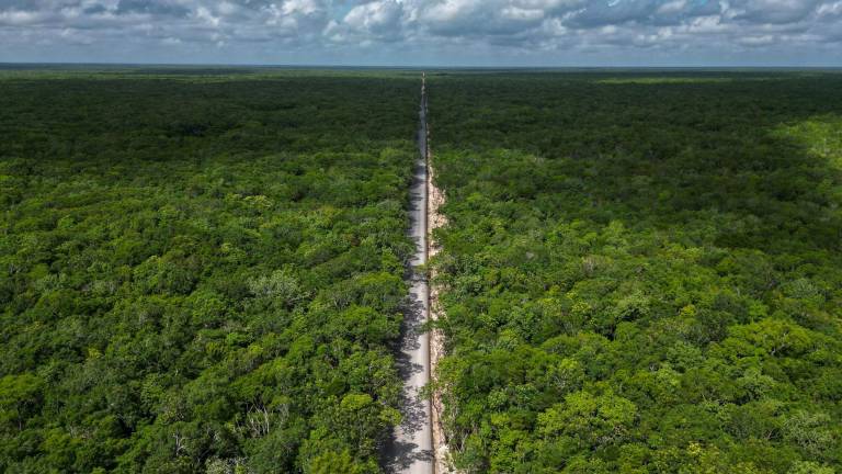 El Gobierno de México construye un complejo turístico en una zona protegida en Quintana Roo.