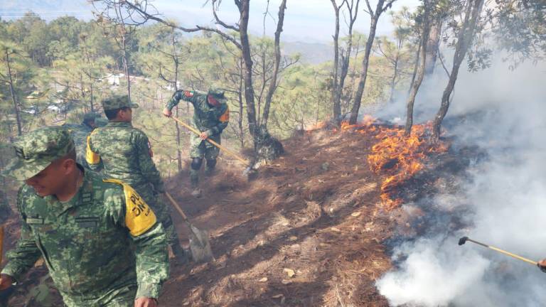Elementos del Ejército ayudan a combatir el incendio en la sierra de Concordia.