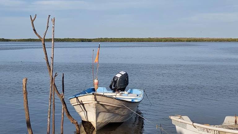 Se encuentran desaparecidos cuatro pescadores de Dautillos al salir a capturar tiburón