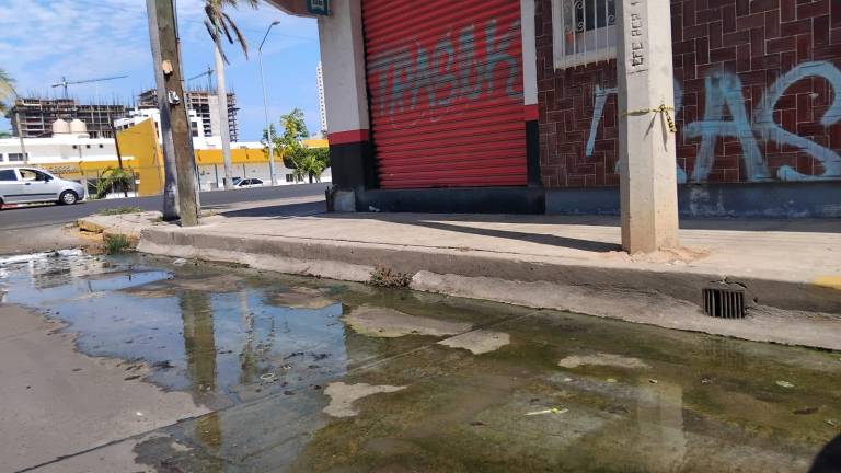 El olor que desprende la fuga es tan fuerte que llega a varias calles aledañas y generar malestar tanto a los habitantes del lugar.