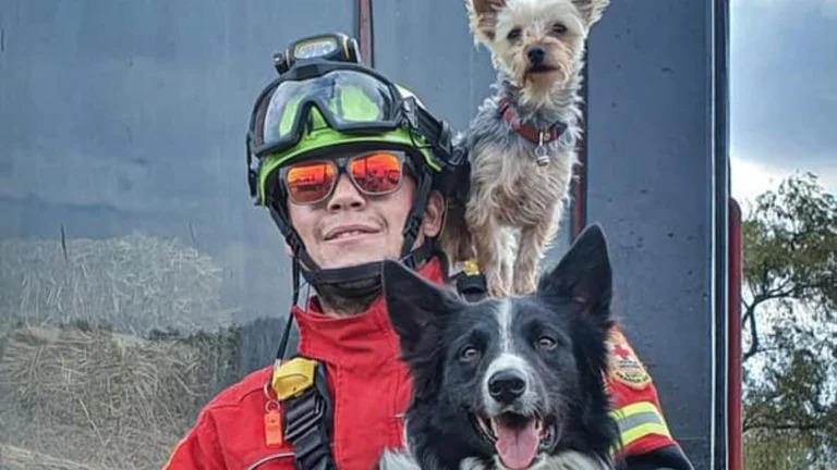 Declaran culpable en Querétaro al hombre que mató a perros rescatistas Athos y Tango