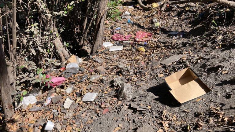 El arroyo y canal que desembocan en el Estero del Infiernillo, en Mazatlán, sigue acumulando desechos.