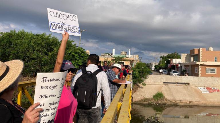 Los participantes realizaron sobre el puente peatonal una cadena humana en defensa del mangle.
