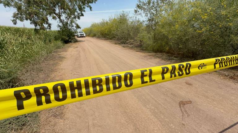 Trabajadores del campo encontraron el cuerpo de una persona sin vida con huellas de torutra y heridas de arma de fuego en la sindicatura de Villa Benito Juárez.