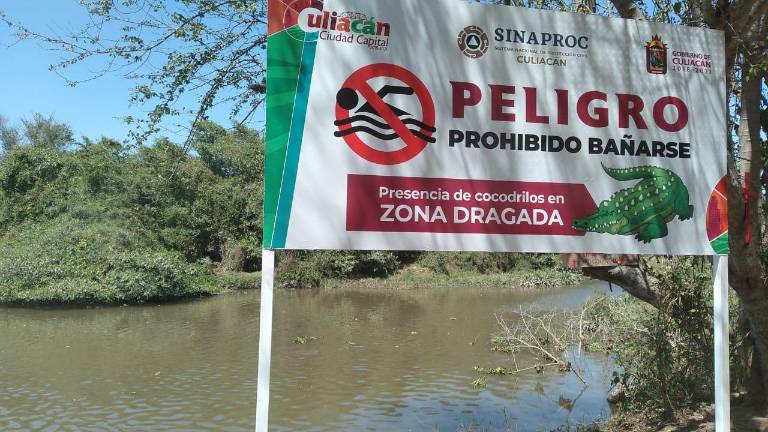Río Tamazula
