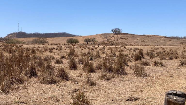 Campos secos son un paisaje común en la zona rural de Concordia, donde la sequía ha dejado sin agua a cientos de familias.