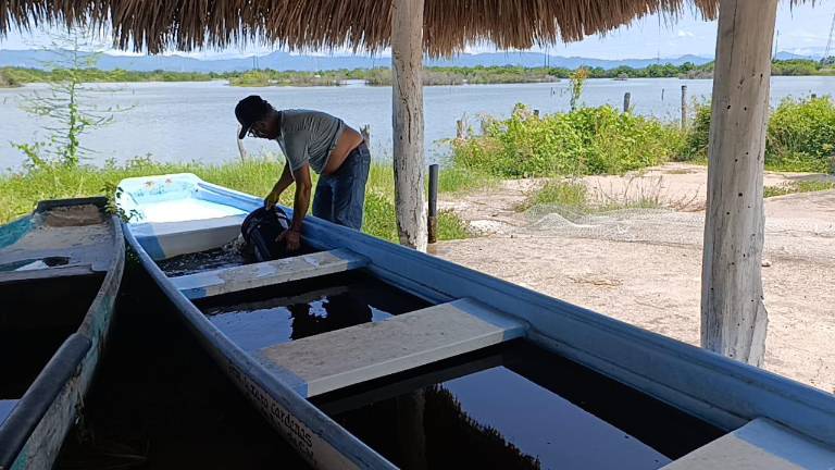 Los pescadores tuvieron problema para capturar escama.