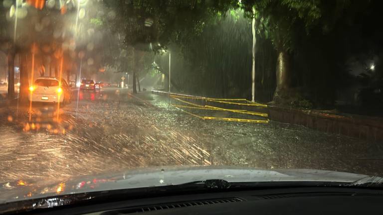 La corporación pidió a la población evitar cruzar arroyos o vialidades inundadas.