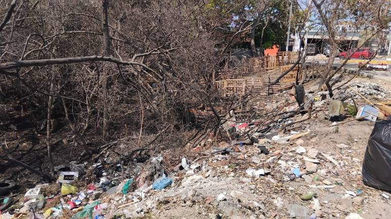 Construcciones de lámina y madera avanzan sobre el manglar del Estero del Infiernillo, en la colonia Independencia.