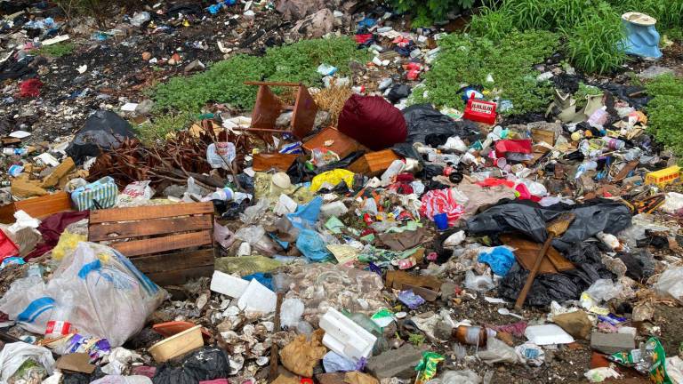 Desechos como plásticos, muebles y llantas se acumulan en el Estero del Infiernillo, poniendo en riesgo la flora y fauna de la zona.