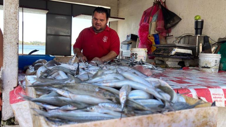 Es poca la cantidad que se pesca de ‘pajarito’ en comparación de otros años, aseguran pescadores.