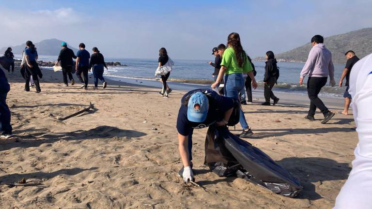 Se contó con el apoyo de la Operadora y Administradora de Playas Mazatlán, así como estudiantes y docentes de diferentes instituciones escolares.