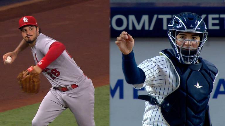 Los Guantes de Platino Rawlings son otorgados al mejor defensor de cada liga.