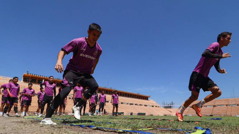 Alebrijes de Oaxaca se echa para atrás.