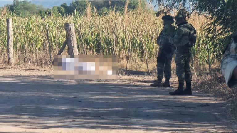 El cuerpo estaba completamente cubierto por la lona.