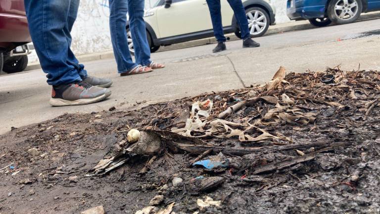 La fuga sale de un pequeño orificio en el suelo que ha provocado charcos de agua sucia, lama y mucha basura que se estanca por los mismos cúmulos del líquido contaminado.
