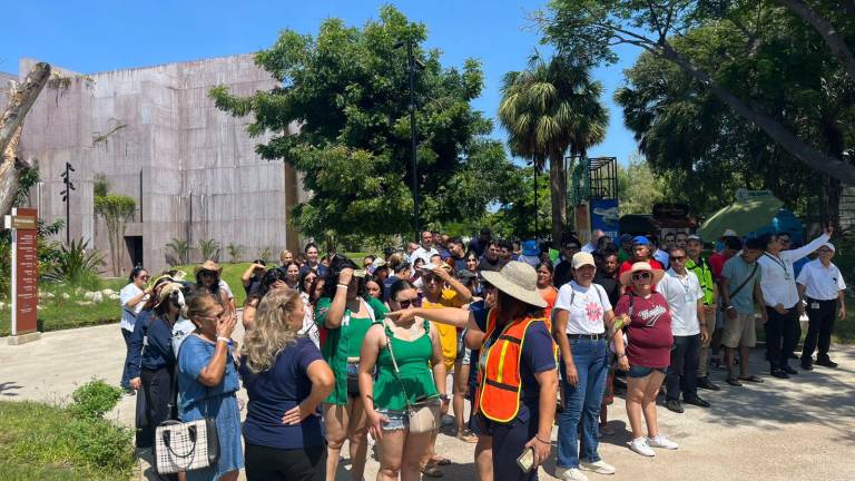 Personal y visitantes del Gran Acuario Mazatlán participaron de manera ordenada en el simulacro nacional, fortaleciendo la preparación ante posibles desastres.