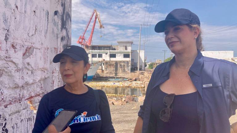 Sofía Trejo indicó que el problema de las invasiones en el estero del Infiernillo viene desde hace mucho tiempo atrás, ya que a esas viviendas terminan por colocarles servicios públicos como agua y luz.