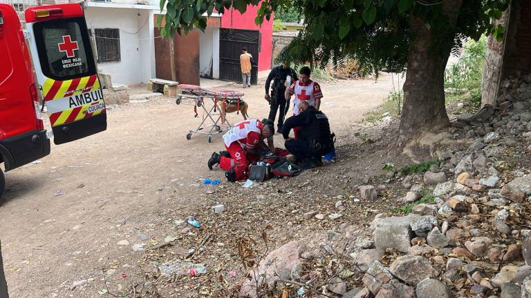 Paramédicos de la Cruz Roja trasladaron a un hombre que fue atropellado en la colonia Francisco Labastida Ochoa.