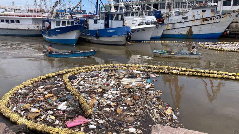 La malla sigue cumpliendo su cometido de evitar que los desperdicios no avancen al mar y contaminen la fauna marina.