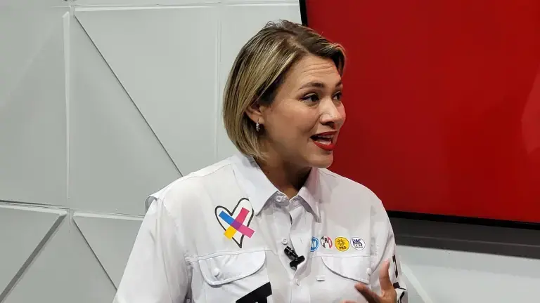 Erika Sánchez Martínez sugirió que los artefactos pudieran ser inalámbricos, cuyo costo ronda entre los 2 mil pesos.