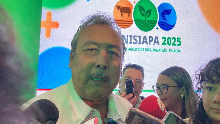 Luis Remigio Campos González, presidente de Cesasin.