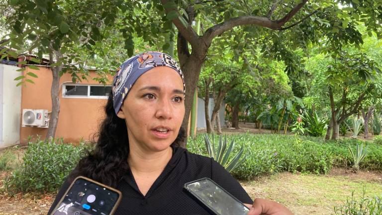 Cortés Echegaray mencionó que se esterilizarán a los gatos mayores para evitar que se reproduzcan.