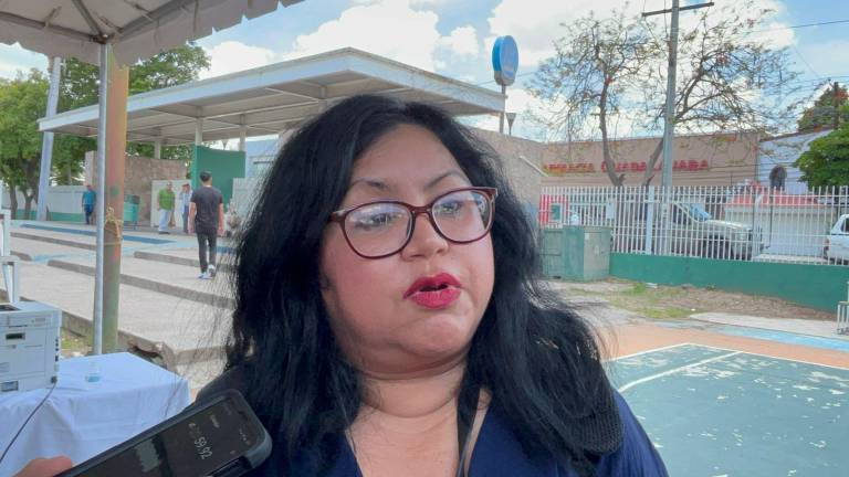 Silvia Domínguez expresó que a pesar de esta situación, los tianguistas decidieron no cerrar sus espacios de trabajo.