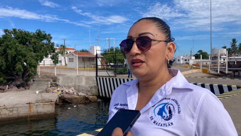 Lizeth Hernández, presidenta de la cooperativa, indicó que tras solicitarles apoyo desde Ahome y al ver que la situación es muy crítica, decidieron trasladarse para seguir activas en el negocio.