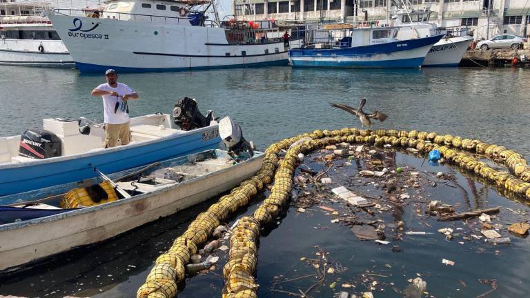 Integrantes de MazConciencia repuso unos de los tramos de la biobarda que se rompió por las lluvias pasadas.