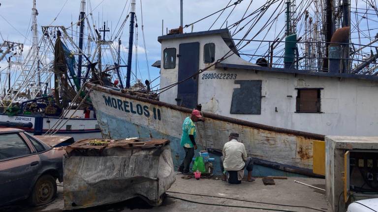 Pescadores esperan que salgan arriba de los 210 barcos del año pasado y que se registre buena pesca.