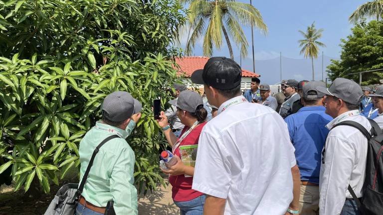 Cesavesin dio a conocer la primera Reunión nacional 2025 de inocuidad agroalimentaria, acuícola y pesquera, organizada por realizarse del 26 al 28 de agosto.