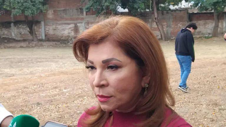 La Secretaria de Educación Gloria Himelda Félix Nieblas informó que se investiga las causas de la intoxicación.