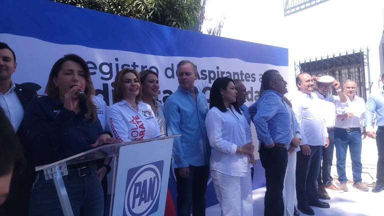 Roxana Rubio Valdez informó que los perfiles registrados deberán ser evaluados por una comisión de postulación.