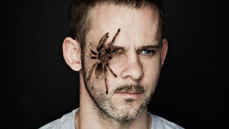 El Dominic Monaghan es un fanático de tener mascotas exóticas, sobre todo arácnidos.