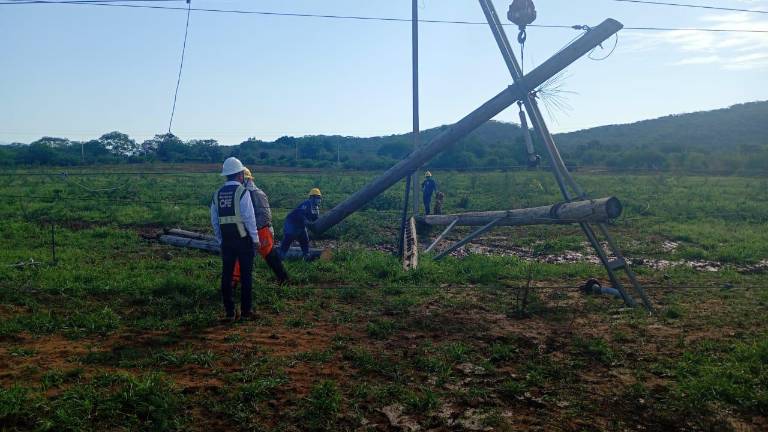 Personal de la CFE trabaja en la reparación de una torre de transmisión que se cayó.