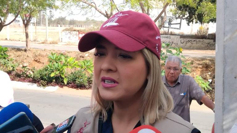 Palacios Domínguez aseguró que el Plan de Desarrollo Municipal ya está casi listo.