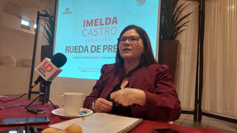 Imelda Castro Castro, Senadora por Morena.